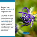 Euromedica ArthoMed - 60 Capsules - Clinically Studied Boswellia & Curcumin, Devil’s Claw - Joint & Spine Health, Cartilage Formation, Flexibility, Comfort - 30 Servings 6