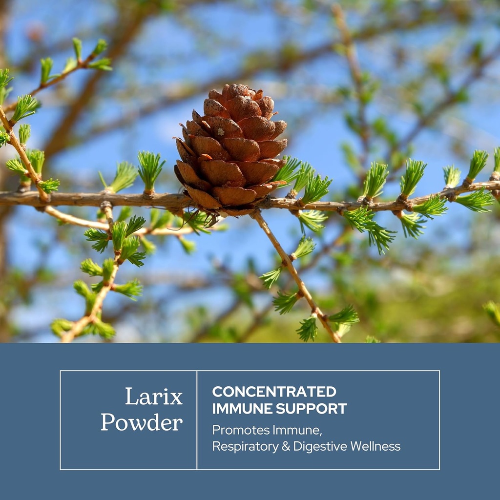 Eclectic Institute Raw Freeze-Dried Non-GMO Larix Capsules | Immune, Respiratory, and Ear Support | 100 CT (400 mg) 4