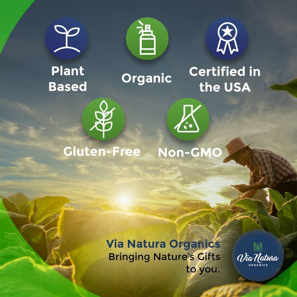 Amla Capsules 1000mg | Organic Herbal Supplement | Natural Source of Vitamin C | 60 Capsules 5