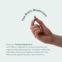 Dr Sosnowski's BioActive Lion's Mane Mushroom Capsules | Potent 1000mg High Strength Lion's Mane Extract (120 Capsules) 3