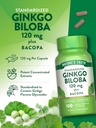 Nature's Truth Ginkgo Biloba 120mg | Plus Bacopa | 100 Quick Release Capsules | Standardized Extract | Non-GMO and Gluten Free Supplement 6