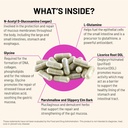 Mountain Peak Nutritionals Acid Assist Formula - Gastrointestinal Support Supplement - Helps with Symptoms of Occasional Heartburn & Stomach Acid - Hypoallergenic Dietary Supplement (90 Capsules) 5