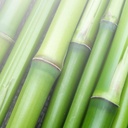 Pure Original Ingredients Bamboo Extract, Always Pure, No Additives Or Fillers, Lab Verified (100 Count) 6