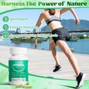 100% Moringa Pure Capsules, Supports Sleep, Joints, Energy Moringa Powder Organic Capsules Sleep Quality Natural Energy Boost Antioxidant Rich Moringa Supplement, 60 Capsules(2pc) 5