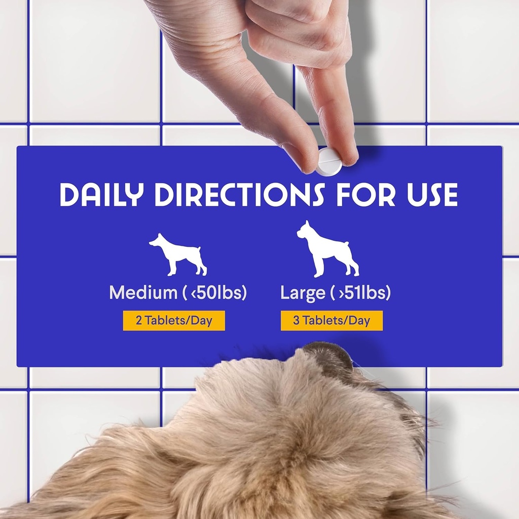 Wonder Paws B12 Supplement for Dogs – Vitamin B-12 for All Ages, Sizes & Breeds – Vitamin B12 for Dogs as Superior Methylcobalamin, Cobalamin & Folate (5-MTHF) – 90 Beef Flavored Chewables 6