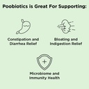nbpure Poobiotics, Vegan Pre & Probiotics – Gut Health & Microbiome Balance Support for Men & Women – Supports IBS, Diarrhea, Constipation, Leaky Gut Relief – Lactobacillus & Bifidobacterium 3