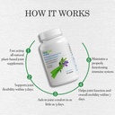 aloecure-organic-aloe-vera-capsules-pack-5.jpg