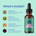 JoySpring Potty Wise Drops – Natural Constipation Relief for Kids & Toddlers – Elderberry, Licorice Root Extract, Fennel Seed & Senna – Sugar-Free Vegan Liquid Blend Supplement (1 fl oz) 30 Servings 6