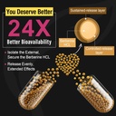 Berberine Supplement 1200mg - High Bioavailability Berberine HCL Microbeadlets,GLP-1 & AMPK Activator for Women Men 180 Vegan Capsules 3