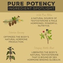 Surthrival: Pine Pollen Pure Potency Extract (1.69 fl oz), Increased Stamina, Hormone Balance, Energy & Endurance Restoration 4
