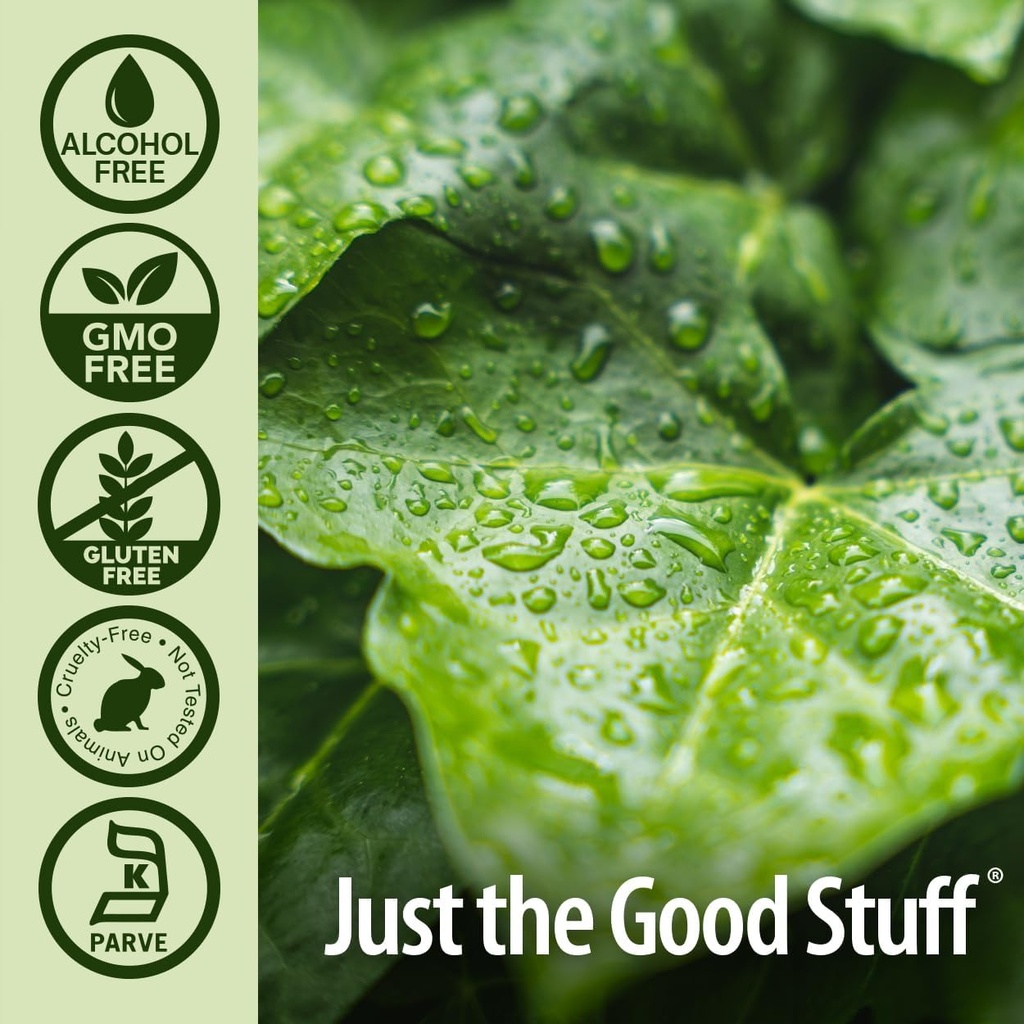 Nature's Answer Liquid Chlorophyll, 100 mg, 16 fl oz (480 ml) 5