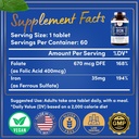 WINDSOR BOTANICALS Liquid Iron Supplements for Anemia - Folic Acid, Vitamin C, Vegan Blood Builder and Anemia Supplement - 2 oz Orange Flavor Gentle Iron Drops for Women 3