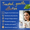 WINDSOR BOTANICALS Liquid Iron Supplements for Anemia - Folic Acid, Vitamin C, Vegan Blood Builder and Anemia Supplement - 2 oz Orange Flavor Gentle Iron Drops for Women 4