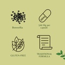 ayurvedashree-boswellia-serrata-extract--5.jpg