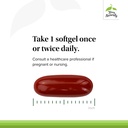 terry-naturally-bosmed-500-boswellia-ser-4.jpg