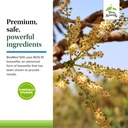 terry-naturally-bosmed-500-boswellia-ser-5.jpg