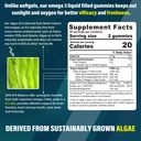 vegan-omega-3-gummies-vitamin-b100-compl-2.jpg