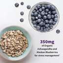 garden-of-life-dr-formulated-probiotics--4.jpg