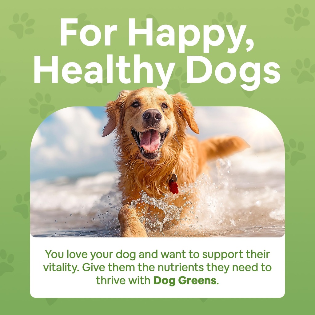superfood-multivitamin-powder-dog-vitami-2.jpg
