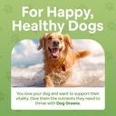 superfood-multivitamin-powder-dog-vitami-2.jpg