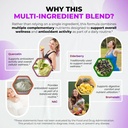 quercetin-supplement-with-bromelain-vita-5.jpg