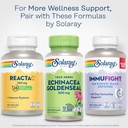 solaray-echinacea-goldenseal---powerful--6.jpg