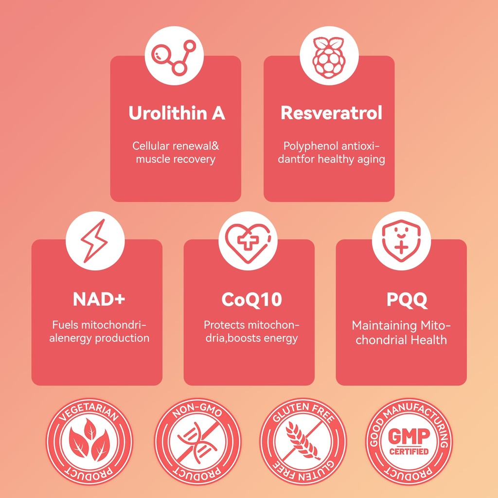 urolithin-a-supplement-gummies-urolithin-2.jpg