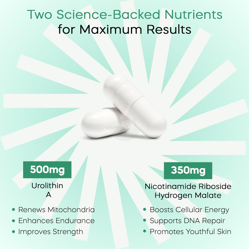 urolithin-a-nad-supplement-500mg-urolith-3.jpg