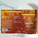 primal-harvest-daily-two-step-routine-as-5.jpg