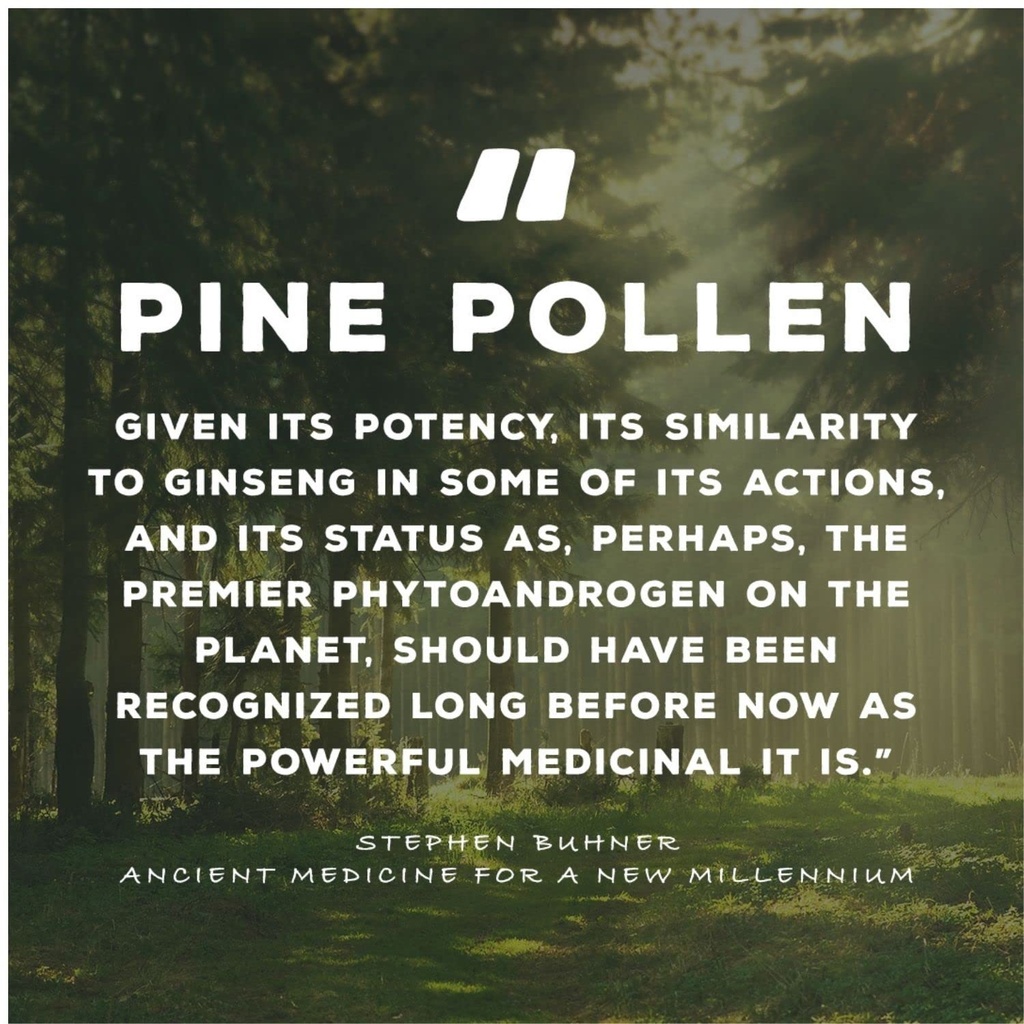surthrival-pine-pollen-pure-potency-extr-5.jpg