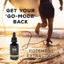 surthrival-pine-pollen-gold-extract-1-fl-4.jpg
