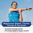 vitalitown-magnesium-complex-daily-multi-4.jpg