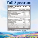 vitalitown-multivitamin-and-alpha-gpc-2.jpg
