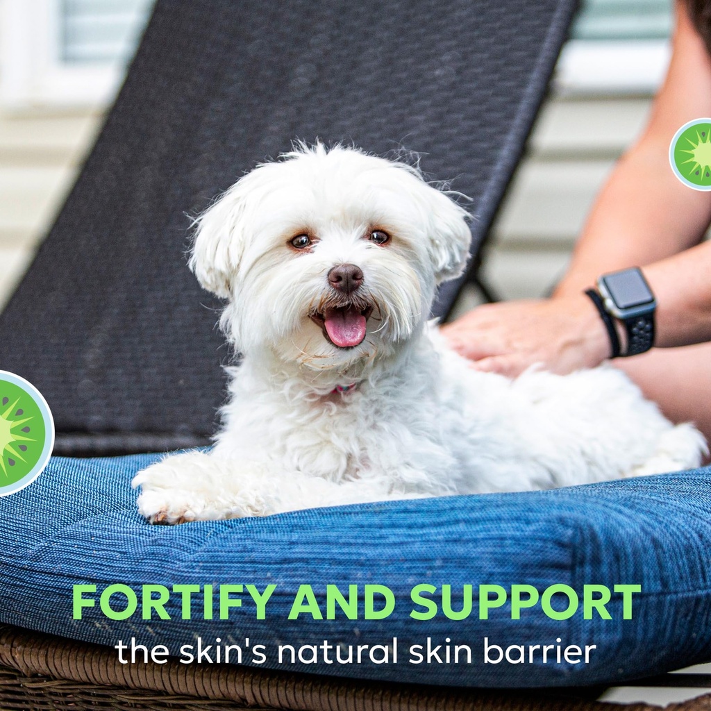 nutramax-dermaquin-skin-support-suppleme-4.jpg