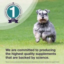 nutramax-denamarin-for-medium-dogs-liver-4.jpg