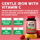 vitalibre-iron-complex-60-tablets-and-ma-3.jpg