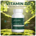 immunity-inflammation-defense-duo-vitami-2.jpg
