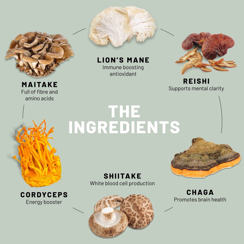 vegan-vitality-booster-supplements-bundl-5.jpg