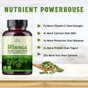 organic-moringa-capsules-120-capsules-10-3.jpg