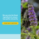 womensense-by-natural-factors-vitex-chas-5.jpg