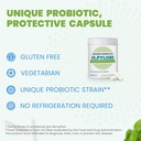 h-pylori-stomach-comfort-probiotic-l-reu-6.jpg