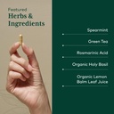 gaia-herbs-pro-somni-mint-rosmarinic-com-4.jpg