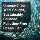 naturewise-1-ultra-omega-3-fish-oil-2200-3.jpg