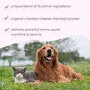 bark-whiskers-heart-health-cardiovascula-5.jpg