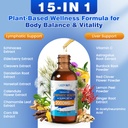 lymphatic-drainage-drops-liposomal-lymph-2.jpg