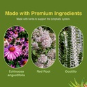 herbs-etc-lymphatonic-60-count-6.jpg