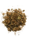 solo-therapy-arnica-dried-whole-flowers--2.jpg