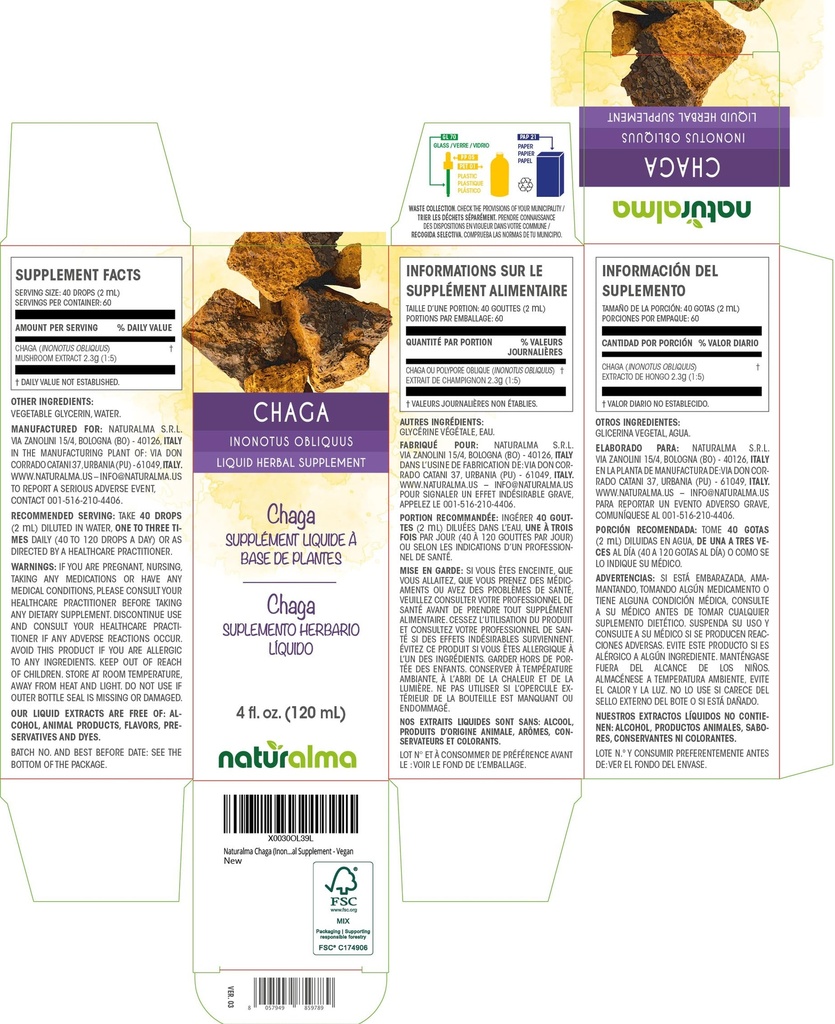 naturalma-chaga-inonotus-obliquus-fungus-2.jpg