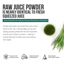 triquetra-health-organic-spirulina-powde-6.jpg