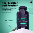 vital-vitamins-chlorophyll-complex-60-ct-2.jpg